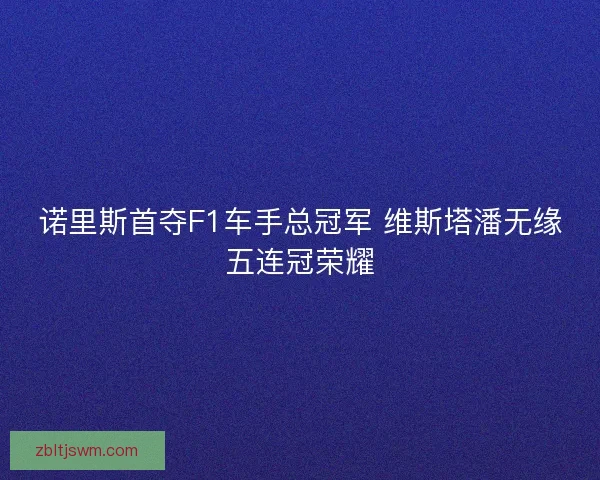 诺里斯首夺F1车手总冠军 维斯塔潘无缘五连冠荣耀