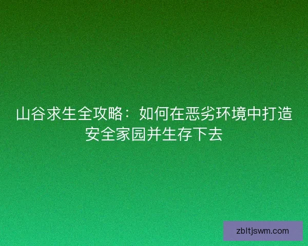 山谷求生全攻略：如何在恶劣环境中打造安全家园并生存下去